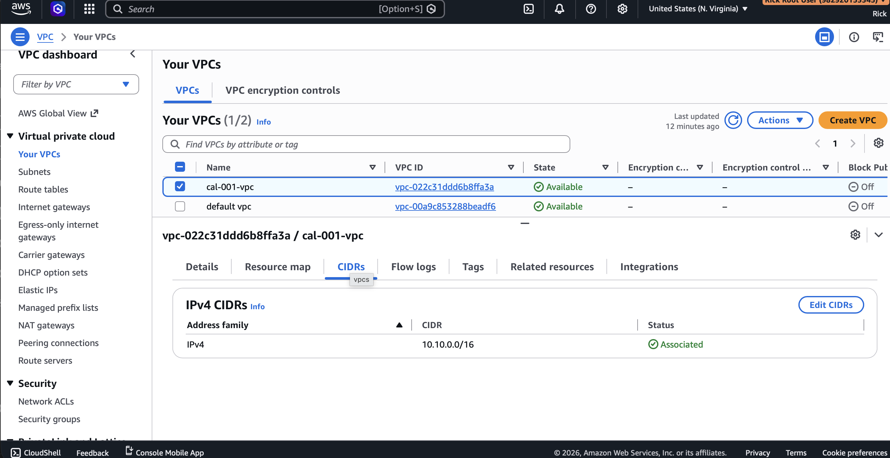 AWS VPC overview showing the deployed CAL-001 networking resources